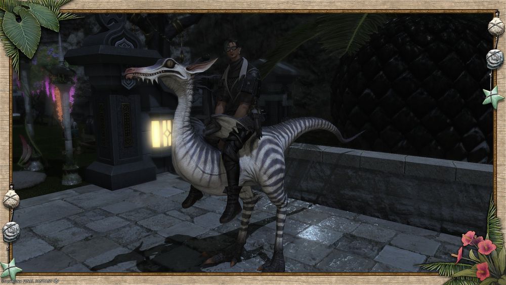 My character in Final Fantasy 14, Zhake Ulumber, riding ANOTHER new mount, the Deinonychus raptor that only drops from the final encounter of Bozja at a stupidly low random drop rate.