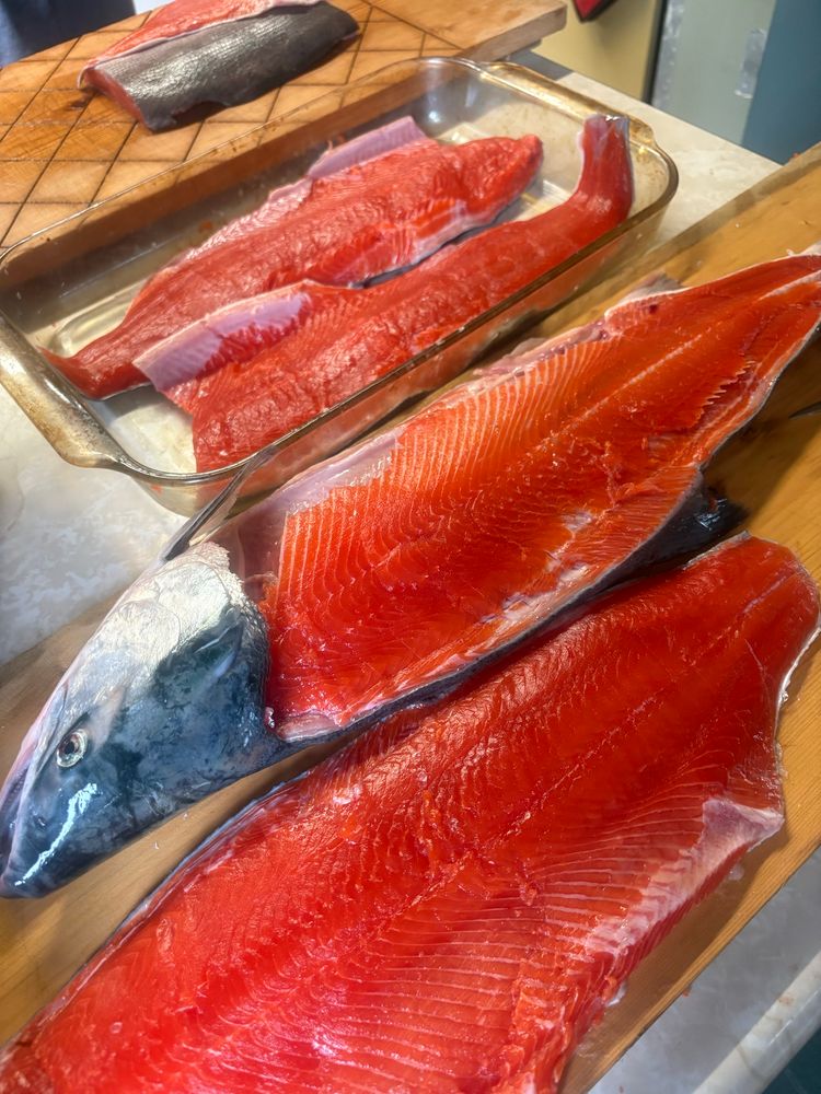 Salmon filets on boards in a kitchen, one head still attached 