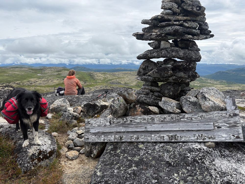 A cairn with a worn wooden sign propped up on the rock. A person wearing orange sits facing away from the camera, looking into the mountains. A dog wearing a red backpack looks at the camera.