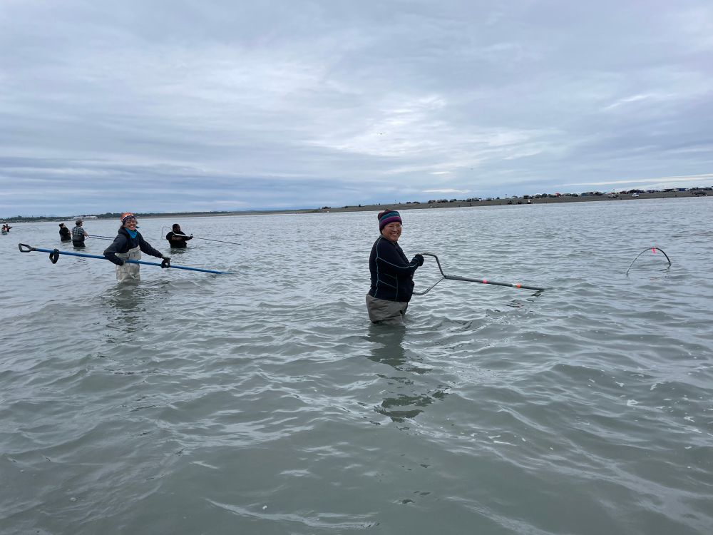 Several people, one of whom is me, standing waist deep in the silty Kenai river with dipnets in the water, a gray sky