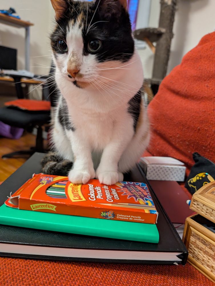 A small calico cat perched on a sketchbook and box of pencils crayons.