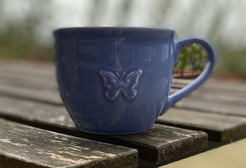 A blue mug with a butterfly on it