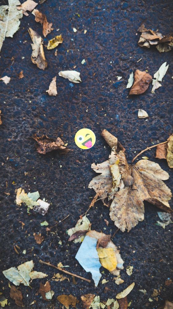 Dieses ist eine Nahaufnahme von einem sehr kleinen, runden, gelben Emoji-Aufkleber inmitten von Herbstlaub auf einer dunklen, asphaltierten Oberfläche.
Zentrales Motiv: Der Aufkleber zeigt das zwinkernde Emoji mit herausgestreckter Zunge. Es ist der einzige helle Farbfleck im Bild.
Hintergrund: Der Untergrund ist dunkelgrauer bis schwarzer Asphalt (vermutlich ein Bürgersteig oder Weg) mit einer leicht rauen Textur.
Laub: Rund um den Aufkleber liegt vertrocknetes, braunes und beiges Herbstlaub. Die Blätter sind meist zerbrochen oder zerknittert, was auf späten Herbst hindeutet. Ein größeres, intakteres braunes Blatt dominiert die untere rechte Seite des Bildes.
Stimmung: Das Bild spielt mit dem Kontrast zwischen dem fröhlichen, leuchtend gelben Emoji und der gedämpften, herbstlichen Szene aus dunklem Asphalt und welkem Laub.