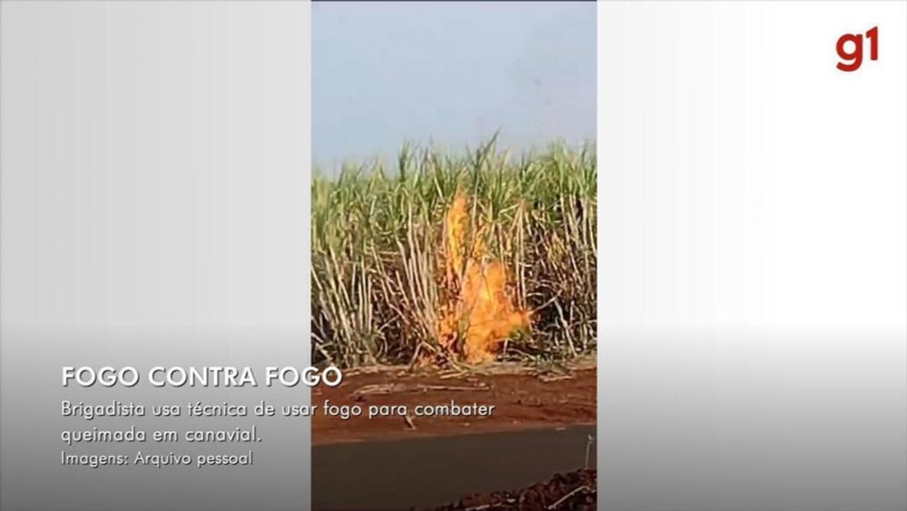 'Fogo contra fogo': entenda técnica utilizada por brigadista para combater incêndio no interior de SP