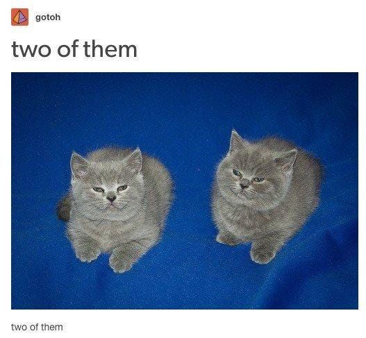 two of them