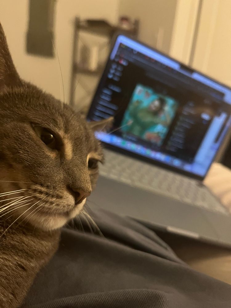 Cat with Taylor’s new album in the background