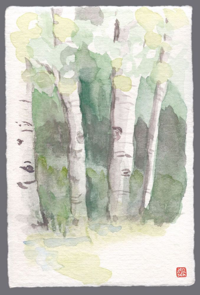 quick watercolor sketch of four aspen trees in a forest by Jentingting