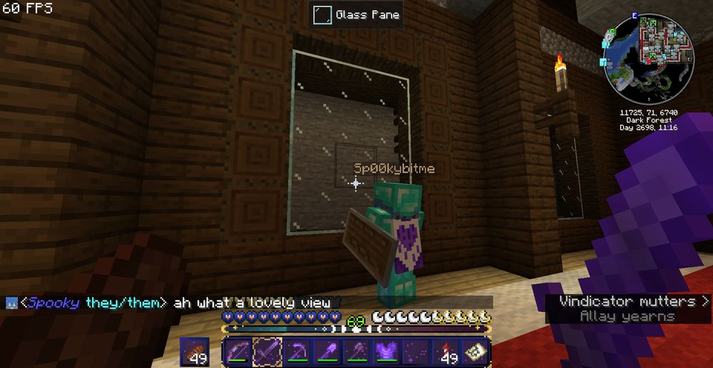 A minecraft screenshot of sp00ky cubito staring at a wall and saying "ah what a lovely view" (screenie courtesy of Williott__ )