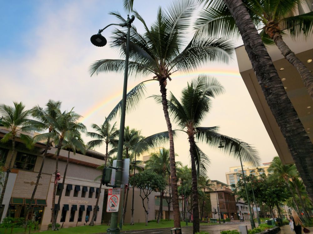 A morning picture taken of a rainbow, some trees, and a shopping strip in Honolulu, Hawaii.