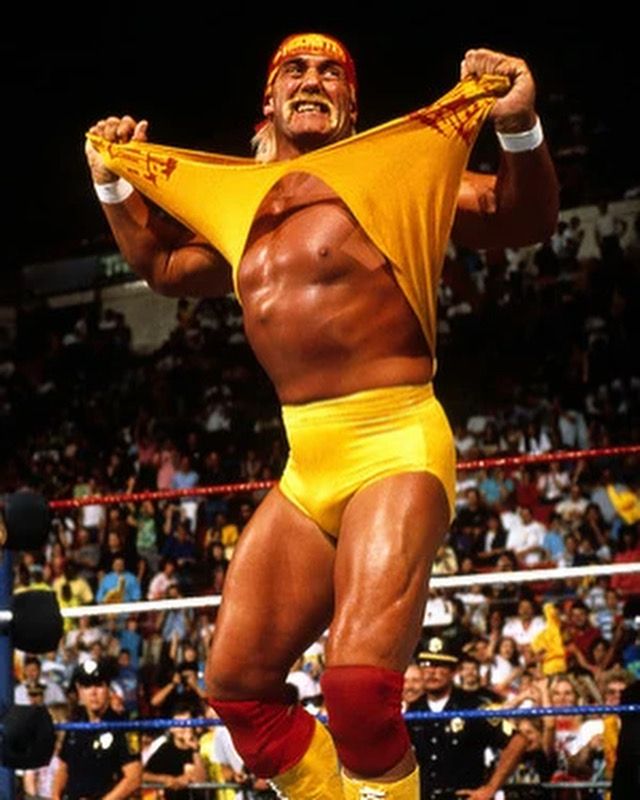 Hulk Hogan 