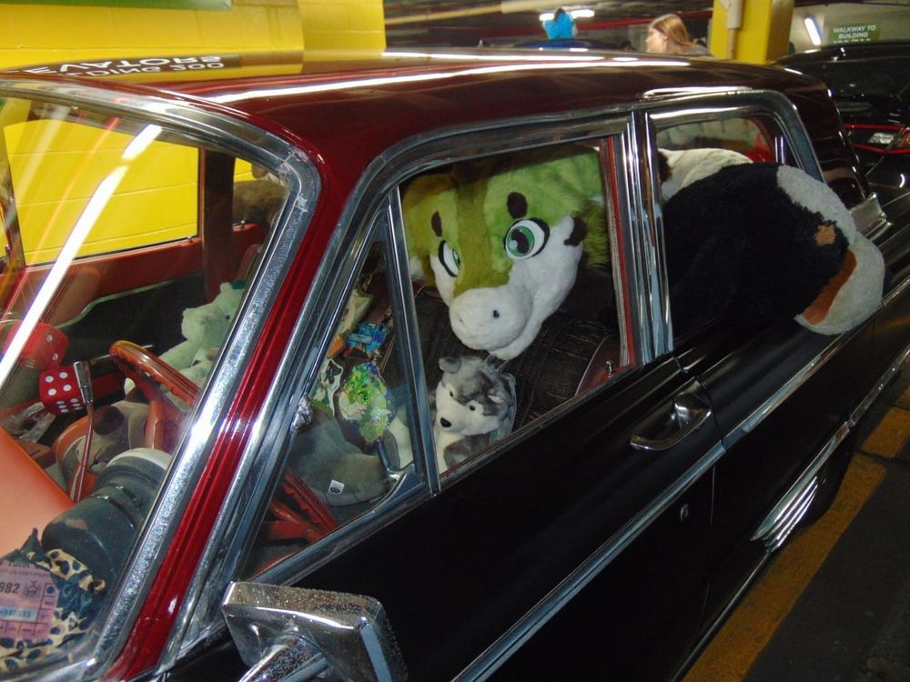 📷  @princeguardian.bsky.social 