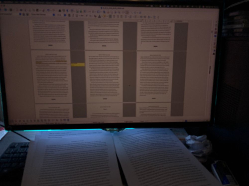 Picture of a computer monitor that displays multiple pages of writing with some comments in the sideline.
Under the monitor there is two stacks of printed pages.