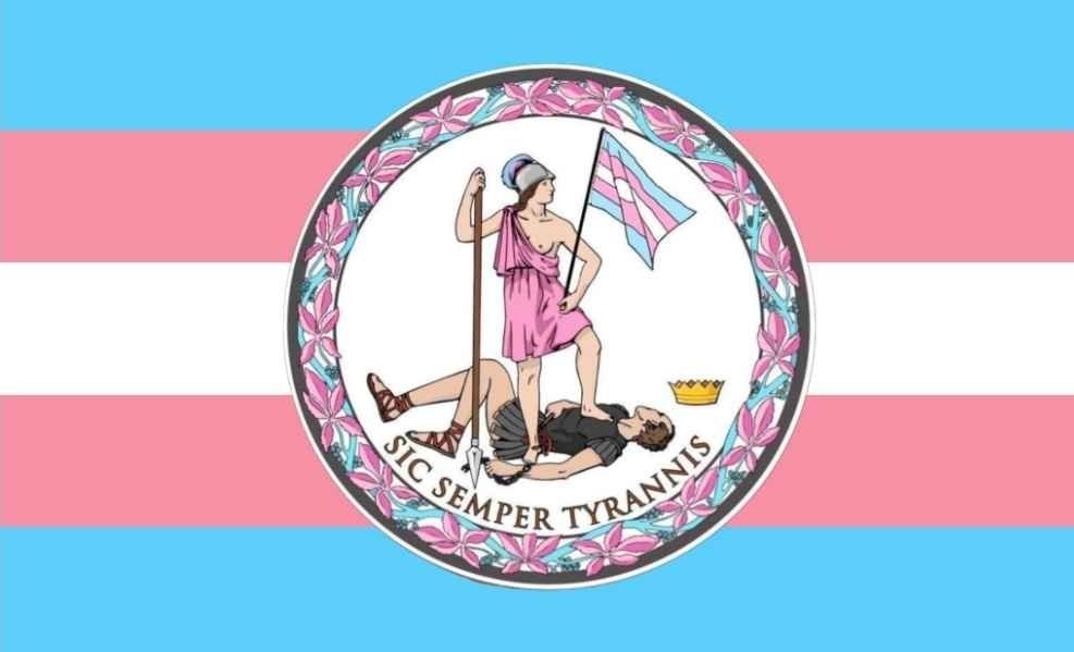 VA flag with the great seal in trans colors and the blue field replaced with the trans pride flag. 