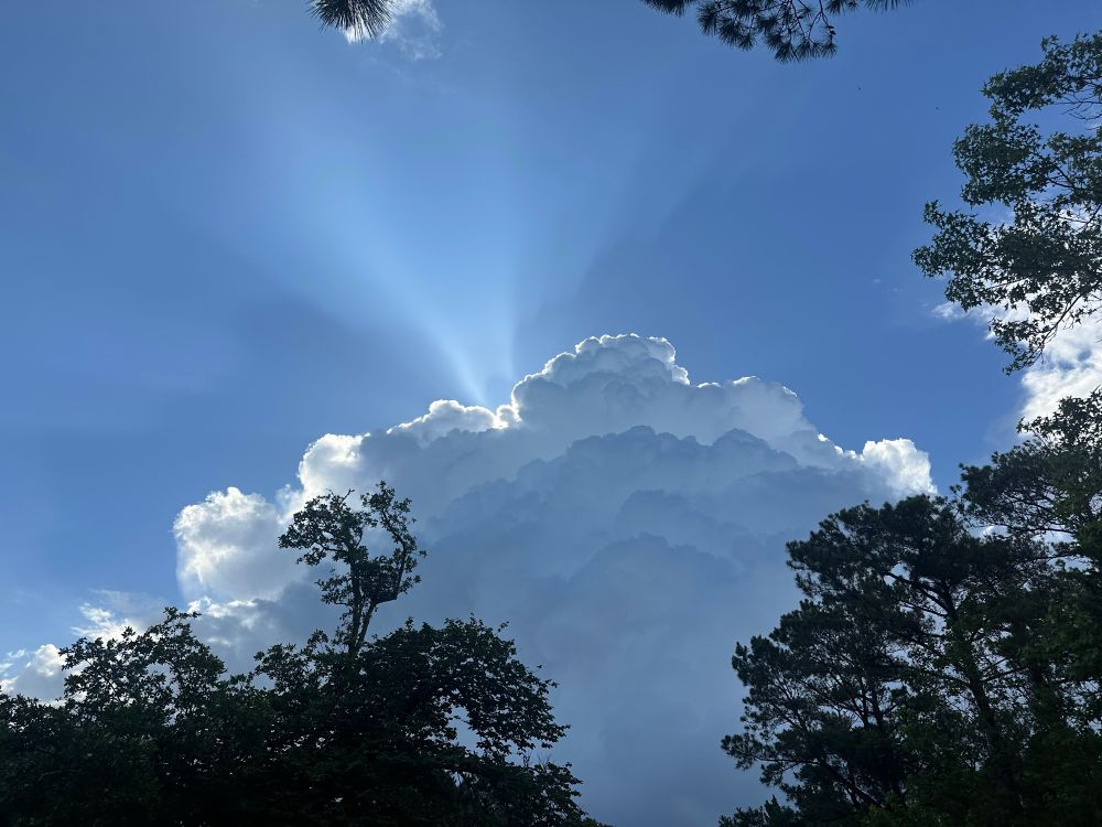 Sunlight streams in a conical shape over a large thunder cloud formation. It looks a bit like the cloud is leaking or blowing out of a puncture. The cloud is lit by the sun from behind and looks pleasingly puffy. Some swamp trees stand silhouetted in the foreground. 