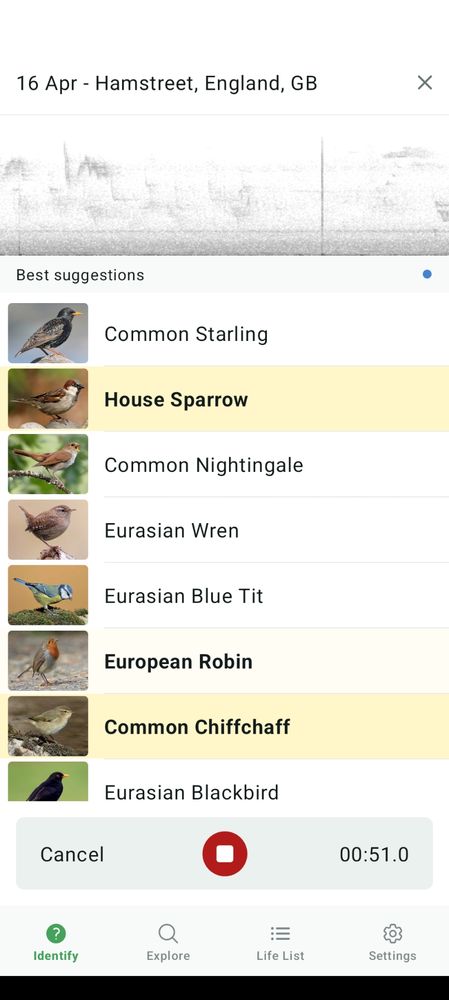 A list of birds heard within about a 
minutes at Ham Street railway station: starling, house sparrow, nightingale, blue tit, robin, chiffchaff, blackbird