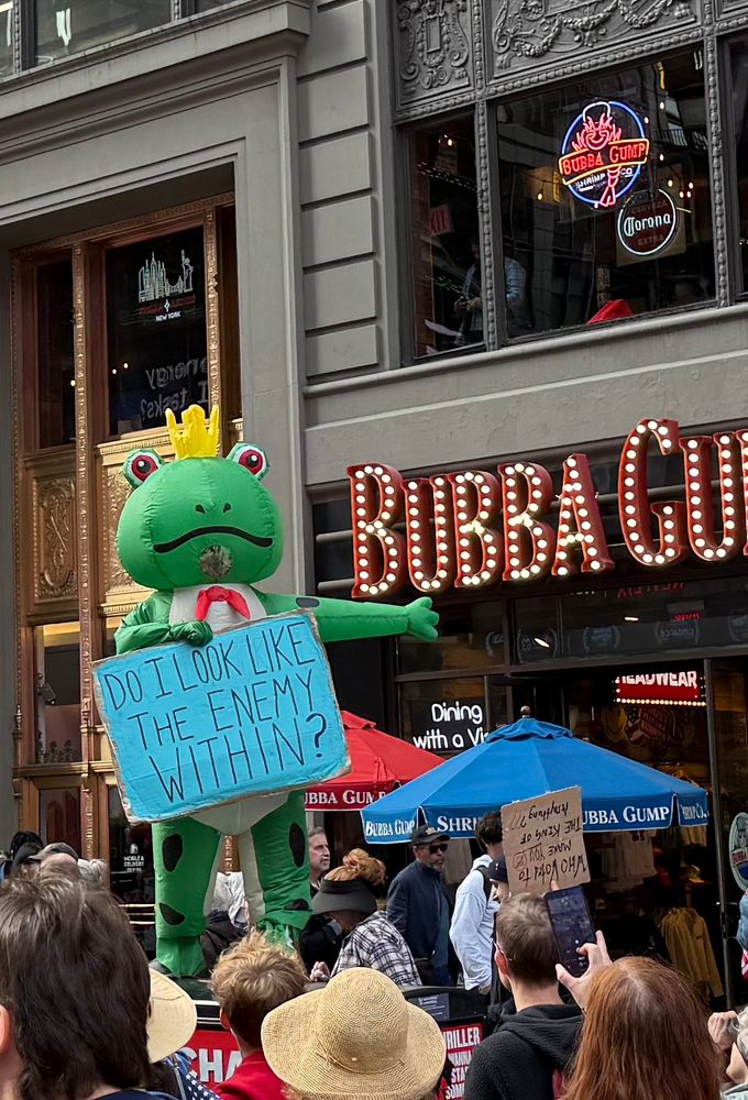 Person in full frog costume, standing on a trash can in front of the Times Square Bubba Gump’s restaurant, with a sign reading “DO I LOOK LIKE THE ENEMY WITHIN?”