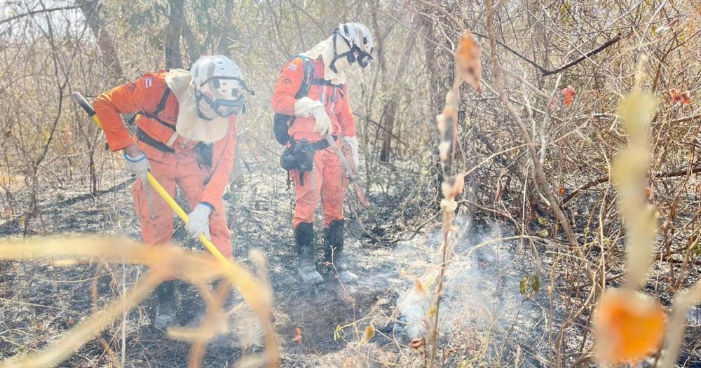 Bombeiros acabam com incêndios florestais em três cidades da Bahia; estado tem mais de 570 registros