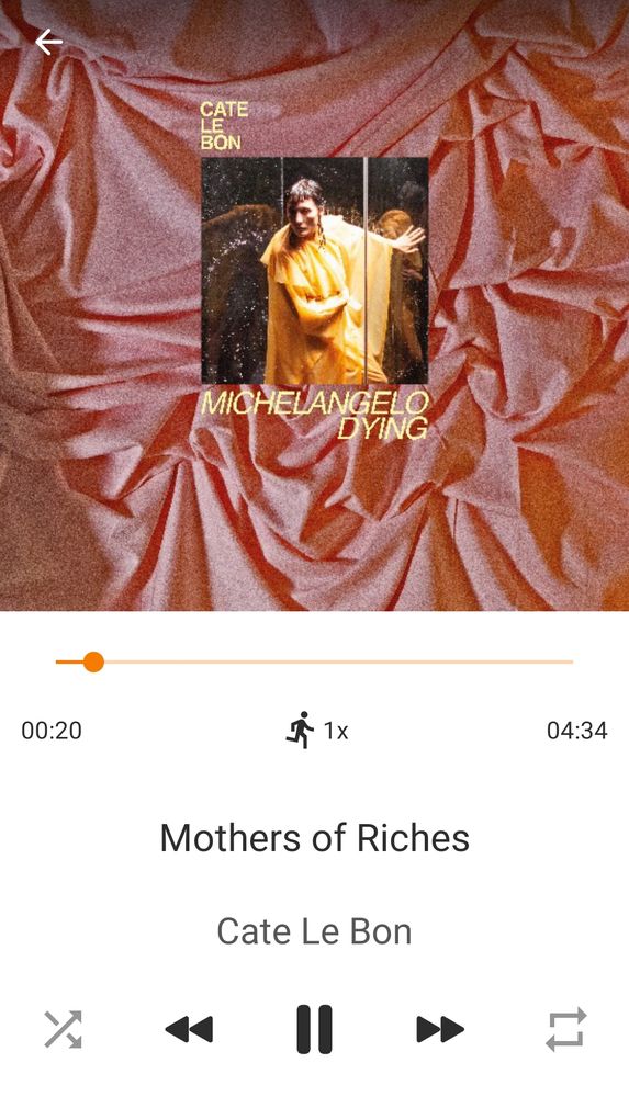 "Mothers of Riches" by Cate le Bon off her Michelangelo Dying album. 