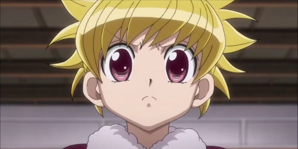 biscuit "bisky" krueger from hunter x hunter