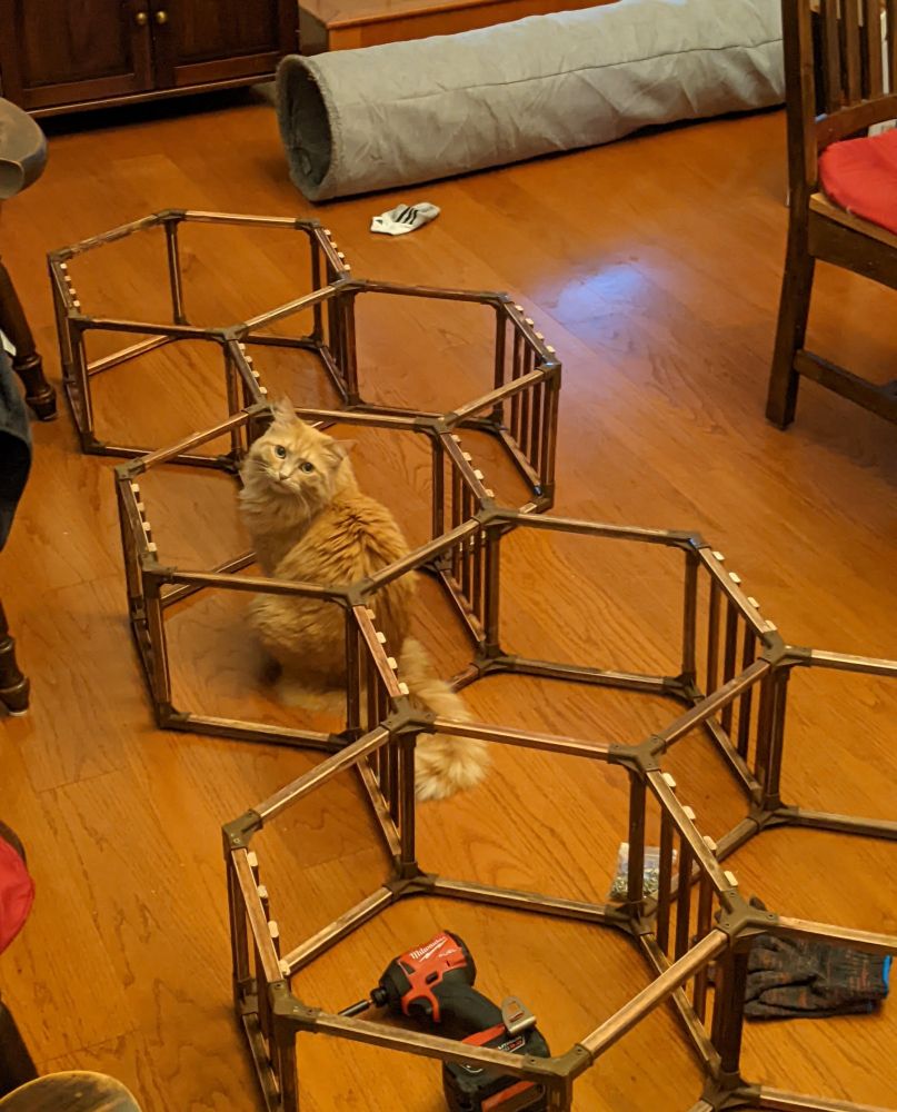 The plant stand is on its side with an orange cat sitting in one of the hexagons