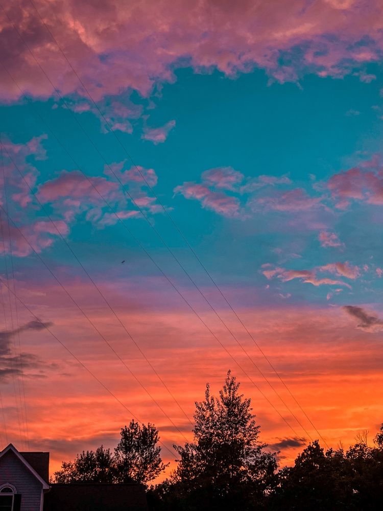 Cotton candy colored sky at sunset 