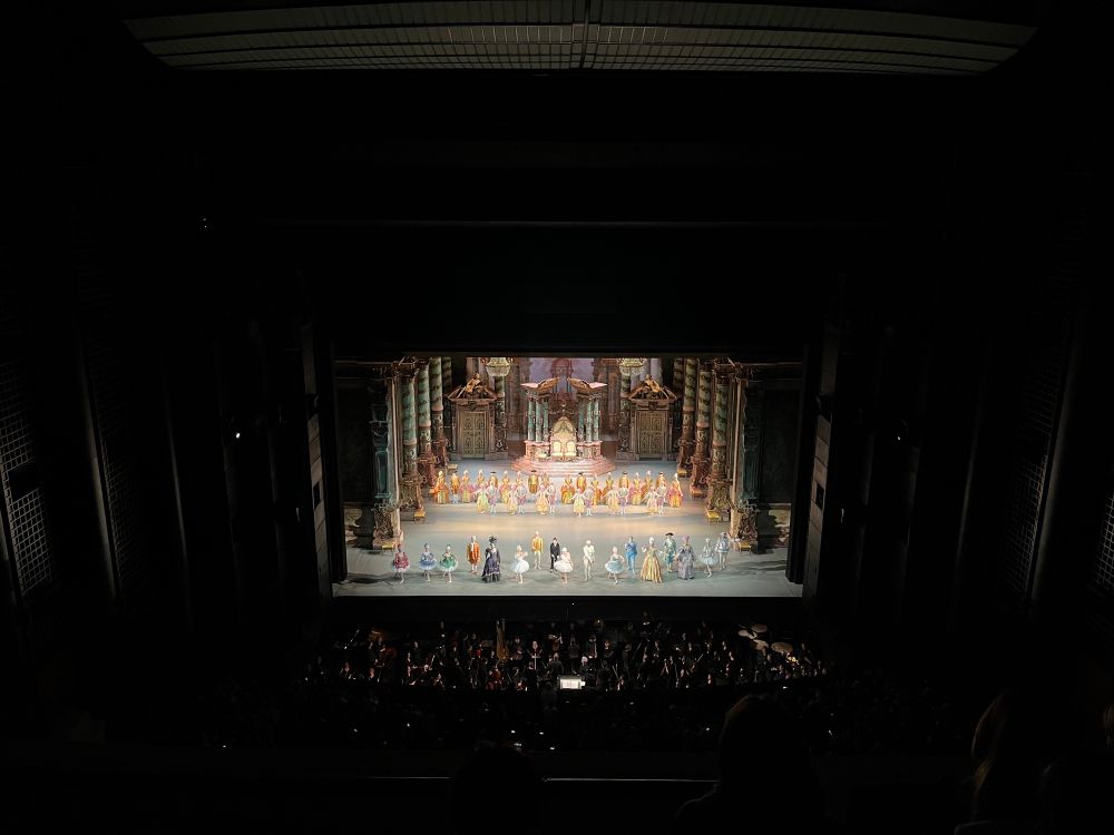 Curtain call of The Sleeping Beauty