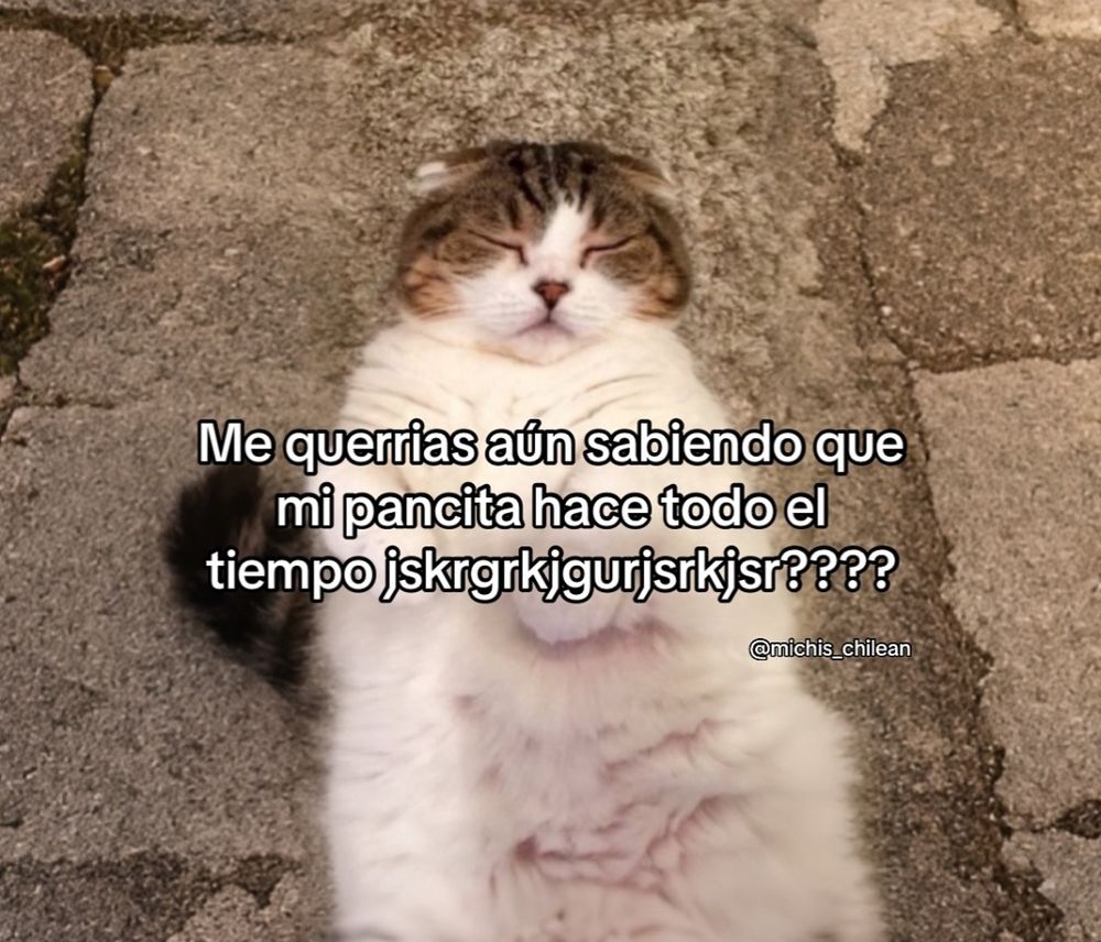 meme of a cat laying with the belly facing up with text in spanish that translates to "would you still love me knowing that my belly goes [keyboard smash representing noises coming from inside the belly] all the time?"