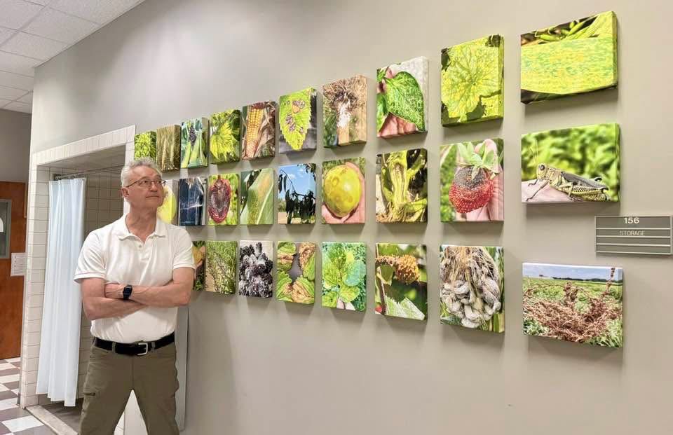 Edward Sikora with his famous wall of plant diseases at Auburn University 