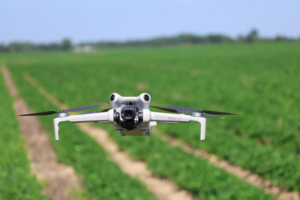 Drone