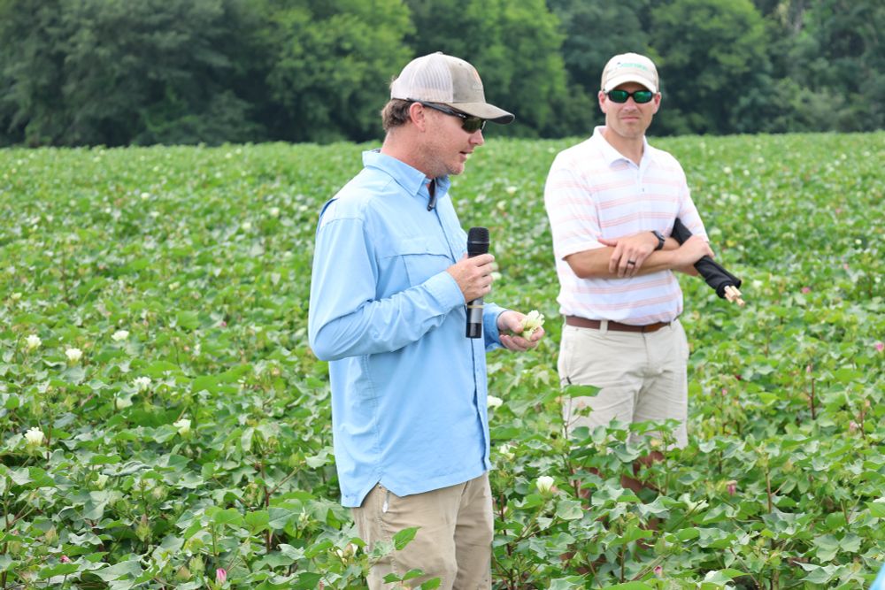 Extension specialist discussing cotton 