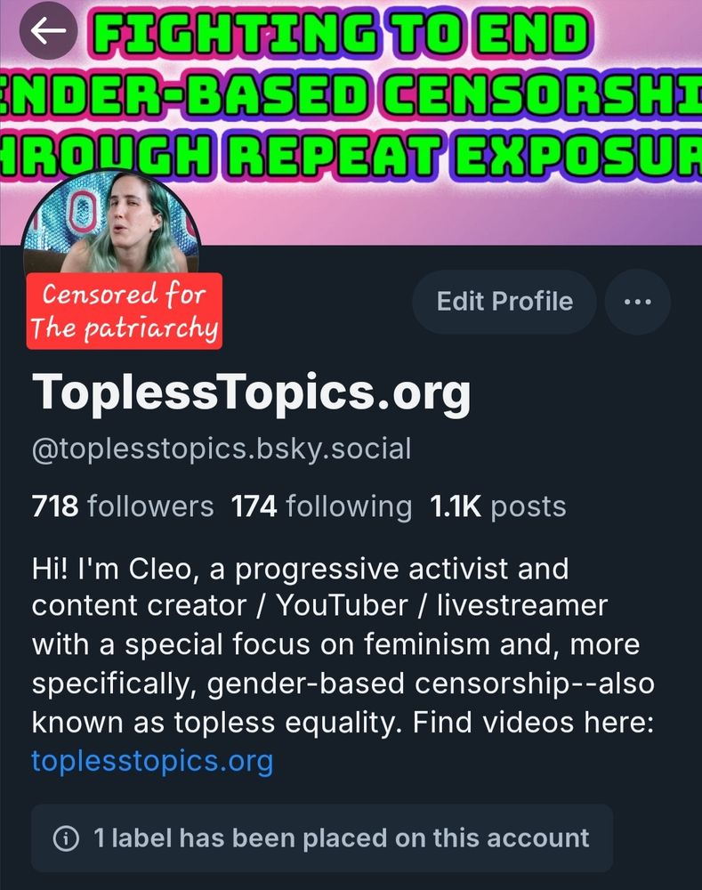 Screenshot of my profile page, but with a small red and white text bubble that says "censored for the patriarchy" blocking out my heinous female nipples