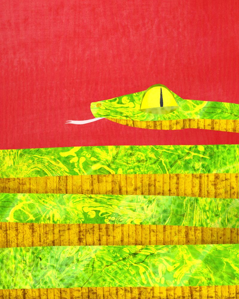 Green snake on a red background.