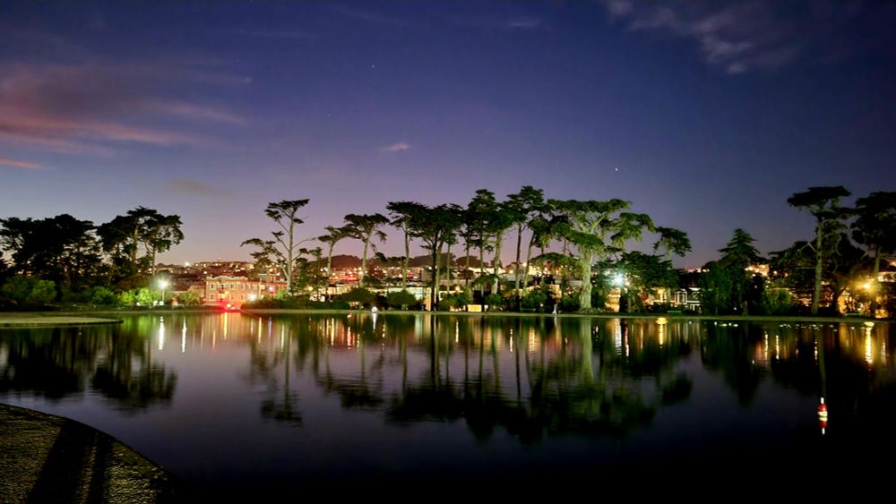 Purple sky in the evening light with city lights behind a row of trees, all reflected below on a still lake