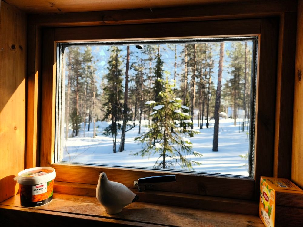 A rectangular window is framed by dark wood, looking out onto a snowy forest landscape. The view reveals tall, thin trees sparsely covered with snow, standing in a thick, white covering on the ground. A small, grey, decorative bird figurine is resting on the windowsill, positioned to the right of a partially visible, round, plastic container. To the right of the bird, a cardboard box is visible, partially cut off. The container has text on it that reads "LAKKALIFE".