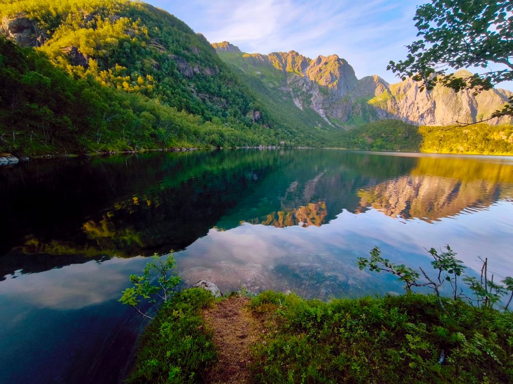 The image depicts a serene landscape featuring a calm lake surrounded by lush green mountains. The water is remarkably still, creating a perfect mirror image of the surrounding scenery, including the mountains and the sky. The mountains are steep and rugged, with patches of greenery and exposed rock, indicating a natural, untouched environment. The vegetation on the mountains is dense, with trees and shrubs covering the slopes. The sky is partly cloudy, with soft, diffused light suggesting either early morning or late afternoon. In the foreground, there is a small patch of grass and a few young plants, with a narrow path leading towards the water's edge. The overall color palette is dominated by greens, blues, and earthy tones, contributing to the tranquil atmosphere of the scene.