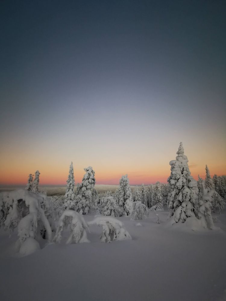 Snowy and glowing landscape view in lapland