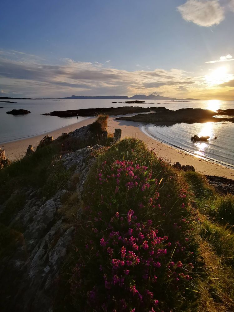 Das Bild zeigt eine malerische Küstenlandschaft bei Sonnenuntergang. Im Vordergrund befindet sich ein felsiger Hügel mit grünen Büschen und leuchtend pinken Blüten, die im warmen Licht der untergehenden Sonne leuchten. Der Strand erstreckt sich entlang des felsigen Ufers und führt zu einer Bucht, in der ein kleines Boot ruht. Im Hintergrund sind kleine Inseln und die Silhouette von Bergen zu sehen, die sich gegen den blauen Himmel abzeichnen. Die Sonne steht tief am Horizont und taucht die Szene in ein goldenes Licht, während die Wellen sanft an den Strand schlagen.