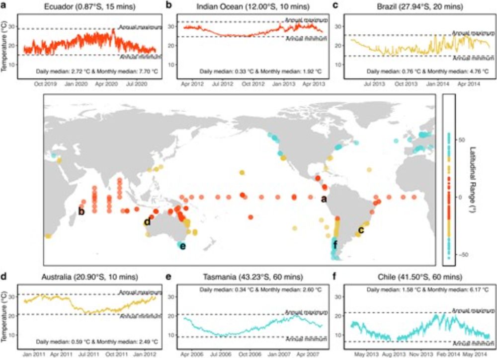 Ocean weather, biological rates, and unexplained global ecological patterns