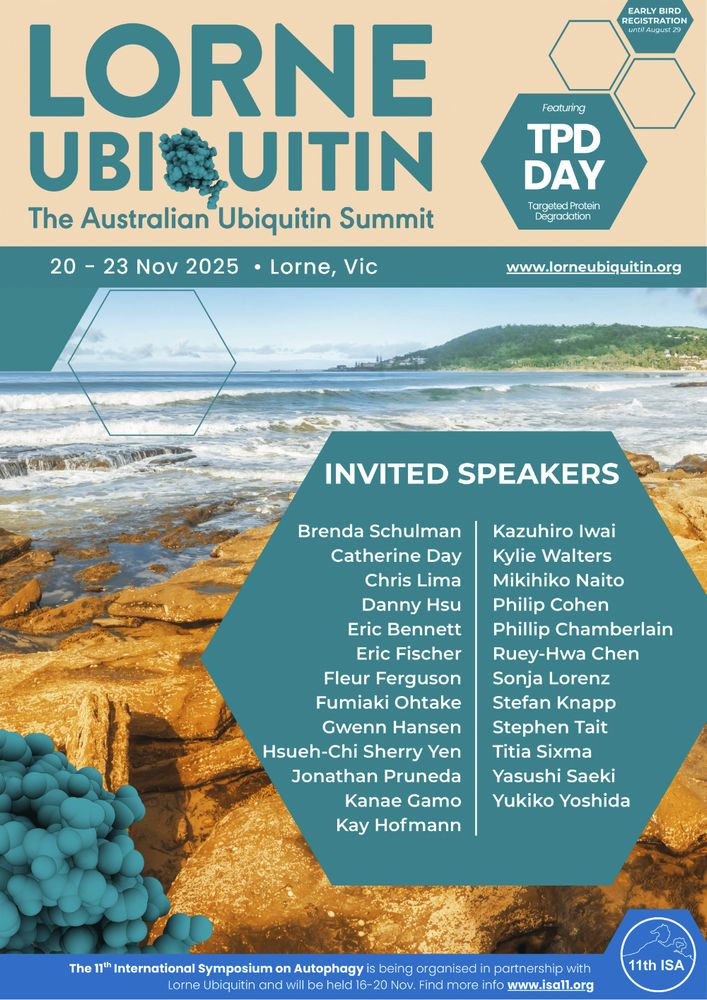 A poster advertising the Australian Ubiquitin Summit in Lorne from the 20th - 23rd of November. The logo of the conference, as well as a note that there is a Targeted Protein Degradation Day are displayed at the top of the poster. The rest of the poster contains a photo of the bay at Lorne, looking out from rock pools into the ocean. Sitting atop this image is a list of the invited speakers (available on the Lorne Ubiquitin website), and below a note that the meeting is being organised in conjunction with the International Symposium on Autophagy, held on the 16th - 20th of November.