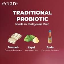 Traditional probiotic from South East Asia. Tempeh, tapai, budu