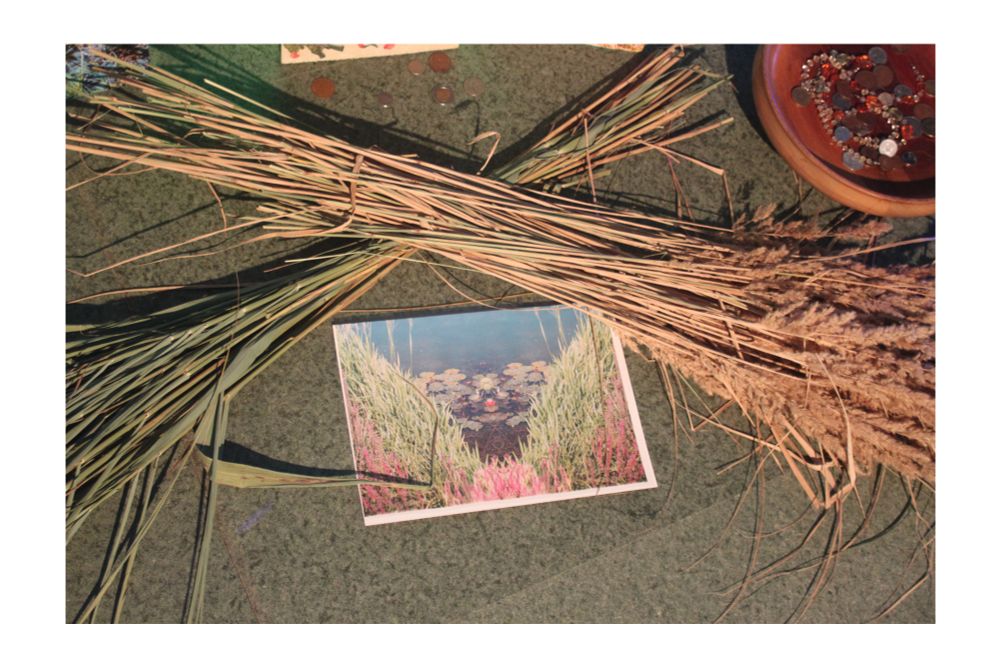 photography from an art installation, reeds and grasses in bunches lay crossed diagonally, a photograph is between them, other objects of uncertainty nudge in from the edges