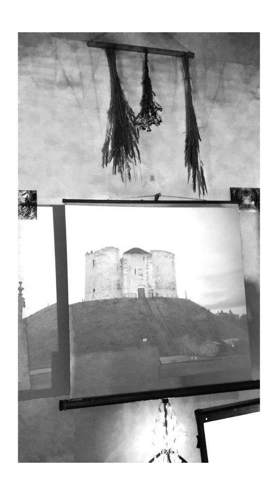 black and white photograph obscure scene, a castle on a hill projected onto a screen and wall, other objects, grass or flowers or similar hanging upside down on the wall above
