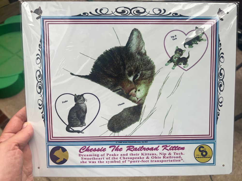 Chessie the Cat print