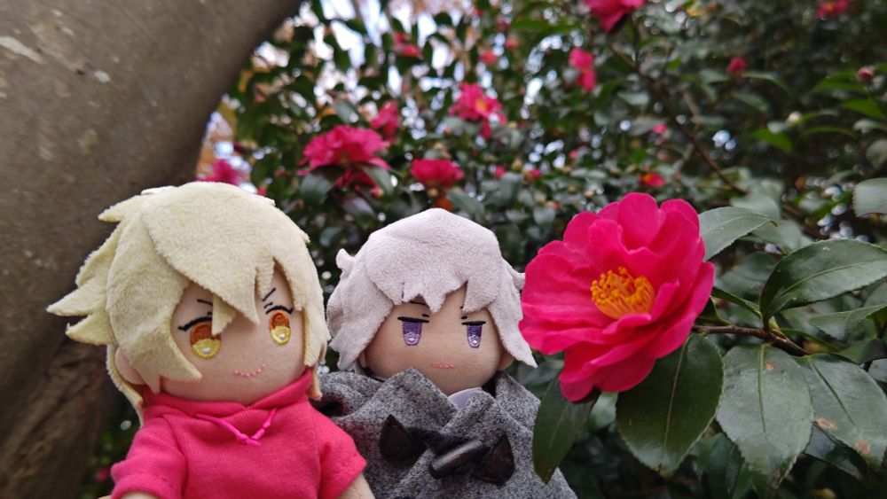 おれの服と被ってんな…。