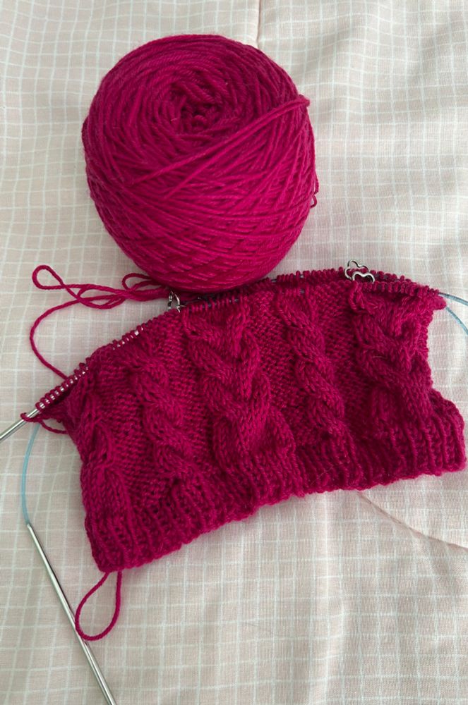 About 3 inches of what will be a hand-knit cowl with 2 types of cables in a raspberry colored yarn. One type of cable is smaller and twisting to the left while the other cable is a larger antler motif.  There cowl is on a pair of circular needles and the cake of yarn sits above the cowl in progress. 