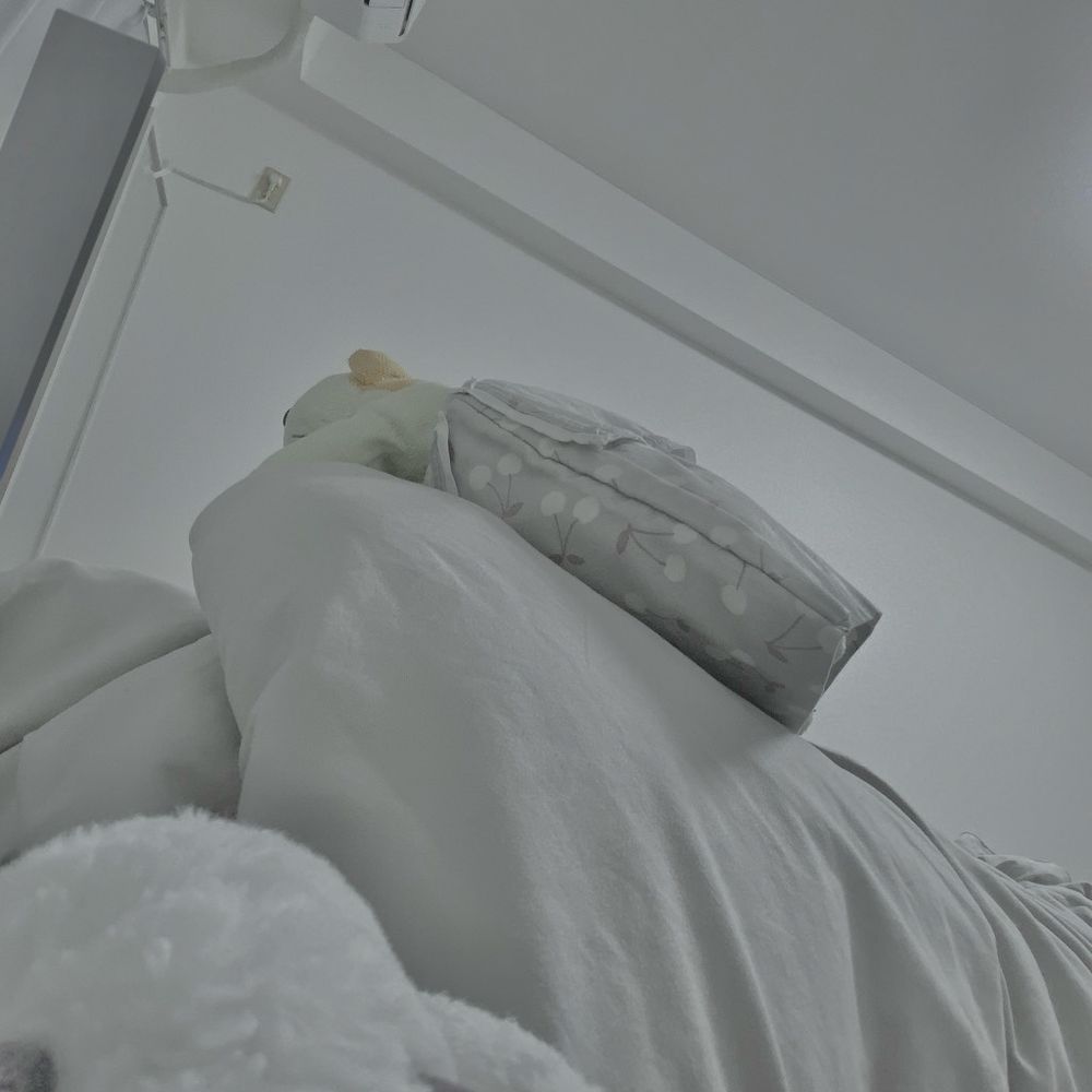 画面縮め用のぬいぐるみ