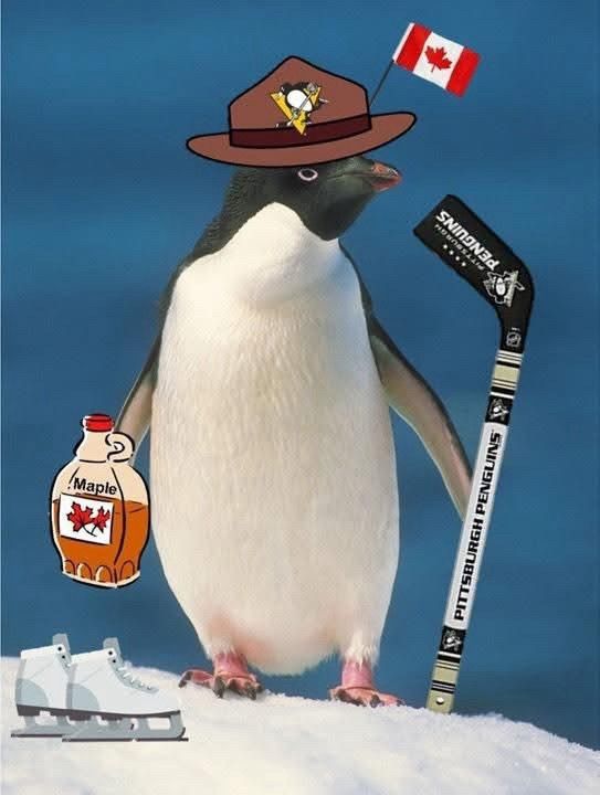 Comment image