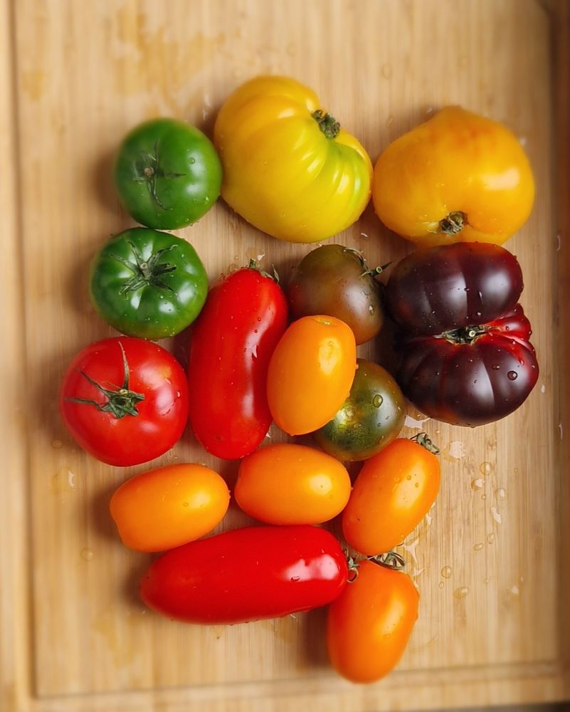 A variety of heirloom tomatoes in different colors and shapes like green, yellow, red, orange, and deep purple. They are arranged on a wooden cutting board. The tomatoes are fresh and glistening with water droplets