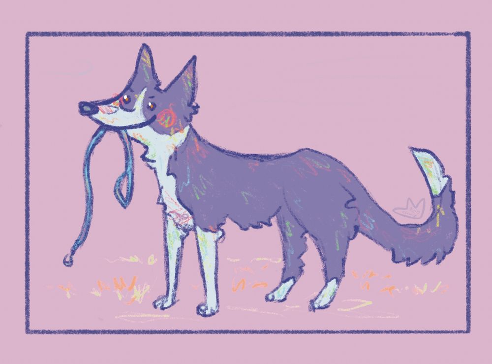 Illustration of a happy border collie holding a leash on her mouth.