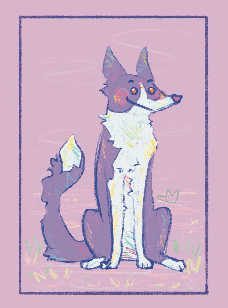 Illustration of a border collie sitting.
